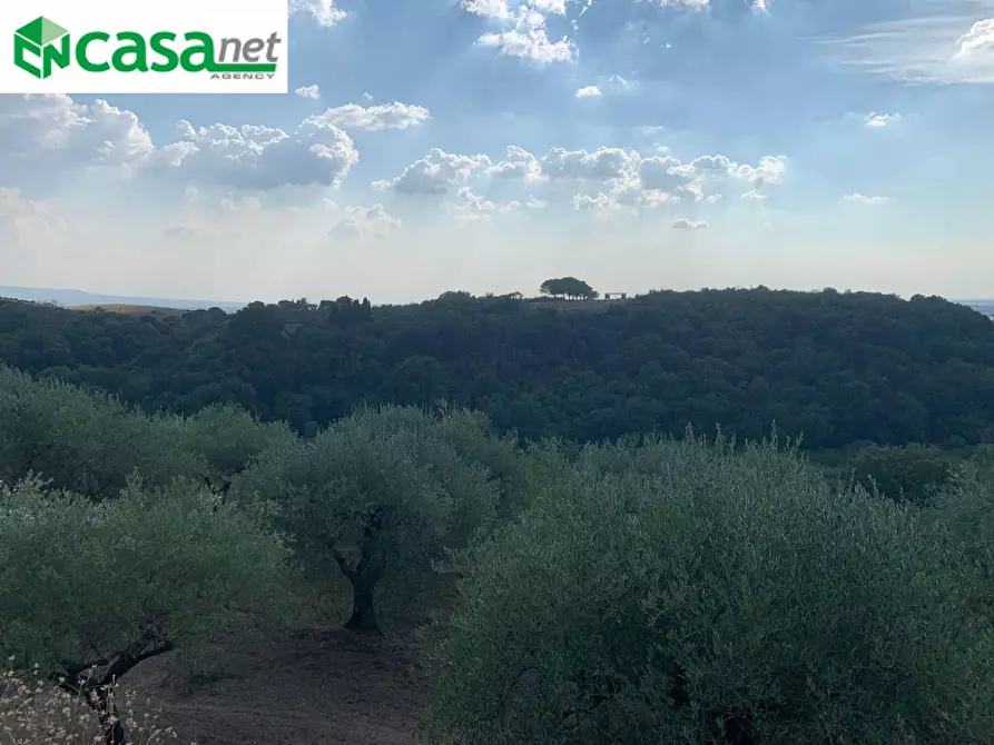 Immagine 23 di Terreno agricolo in vendita  in Via dei Caolini a Marcellina