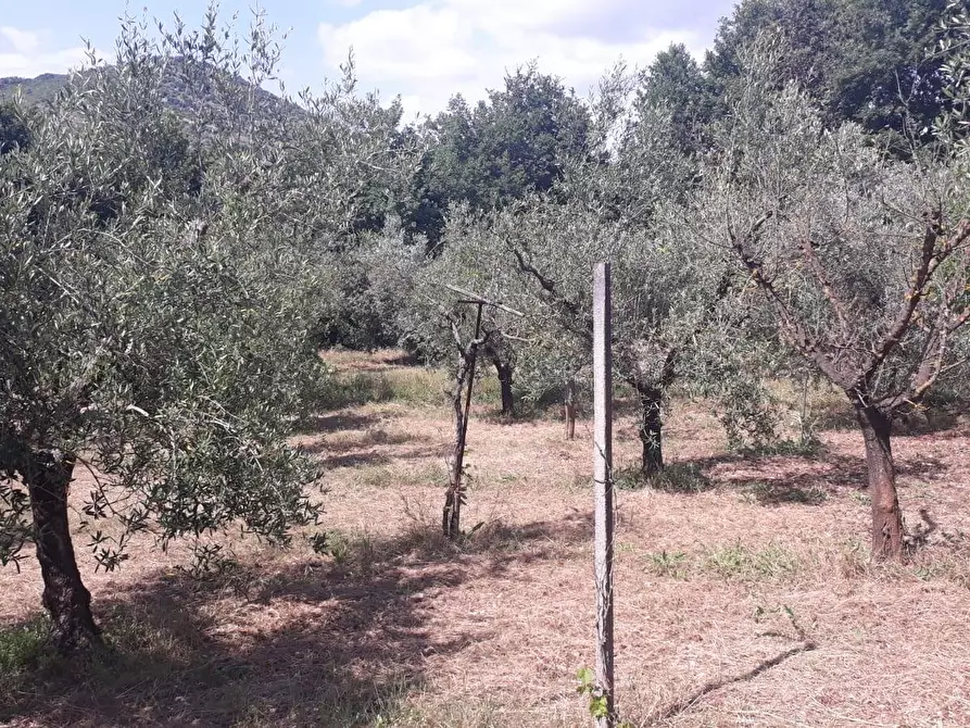 Immagine 26 di Terreno agricolo in vendita  in via colle dell'oro a Guidonia Montecelio