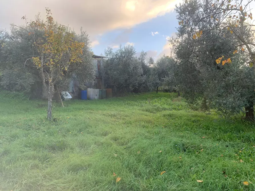 Immagine 1 di Terreno agricolo in vendita  in via della piscina a Guidonia Montecelio