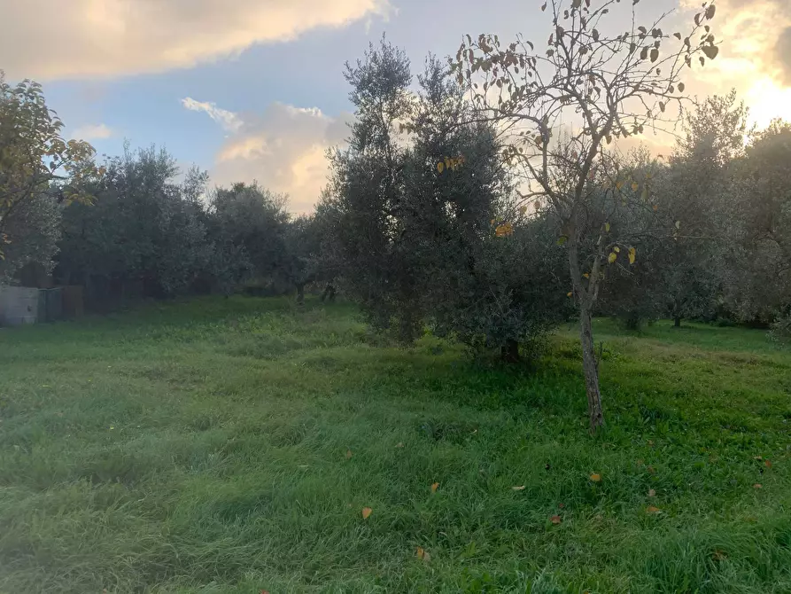 Immagine 2 di Terreno agricolo in vendita  in via della piscina a Guidonia Montecelio