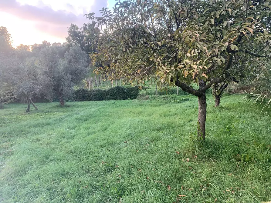Immagine 3 di Terreno agricolo in vendita  in via della piscina a Guidonia Montecelio