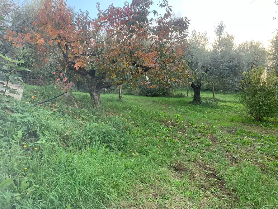 Immagine 4 di Terreno agricolo in vendita  in via della piscina a Guidonia Montecelio