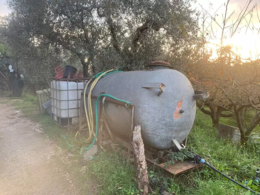 Immagine 15 di Terreno agricolo in vendita  in via della piscina a Guidonia Montecelio