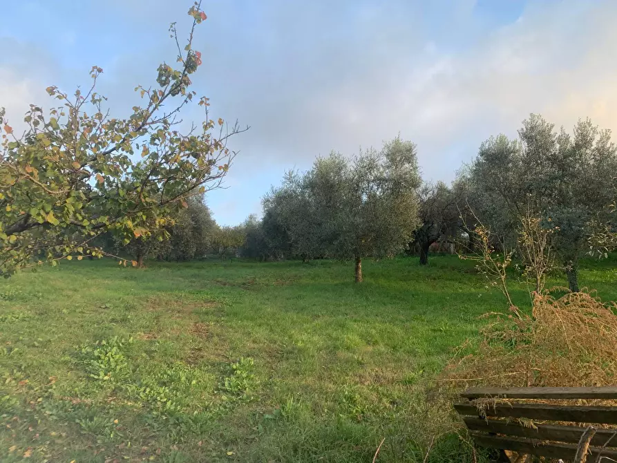 Immagine 8 di Terreno agricolo in vendita  in via della piscina a Guidonia Montecelio