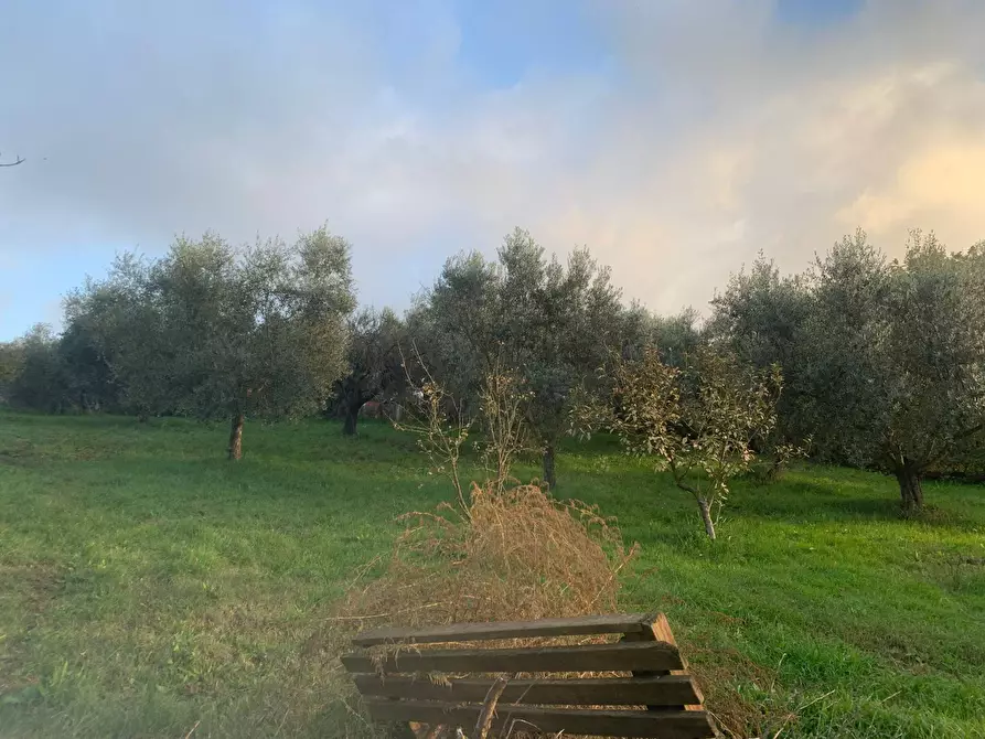 Immagine 10 di Terreno agricolo in vendita  in via della piscina a Guidonia Montecelio