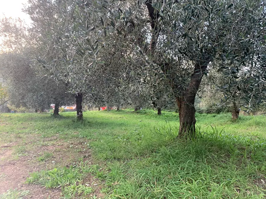 Immagine 11 di Terreno agricolo in vendita  in via della piscina a Guidonia Montecelio