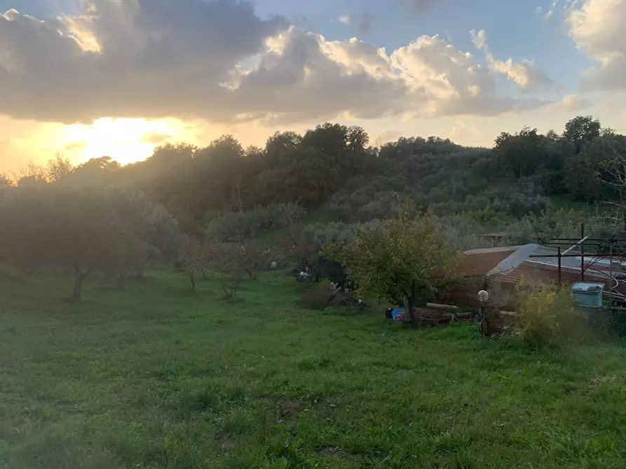 Immagine 12 di Terreno agricolo in vendita  in via della piscina a Guidonia Montecelio