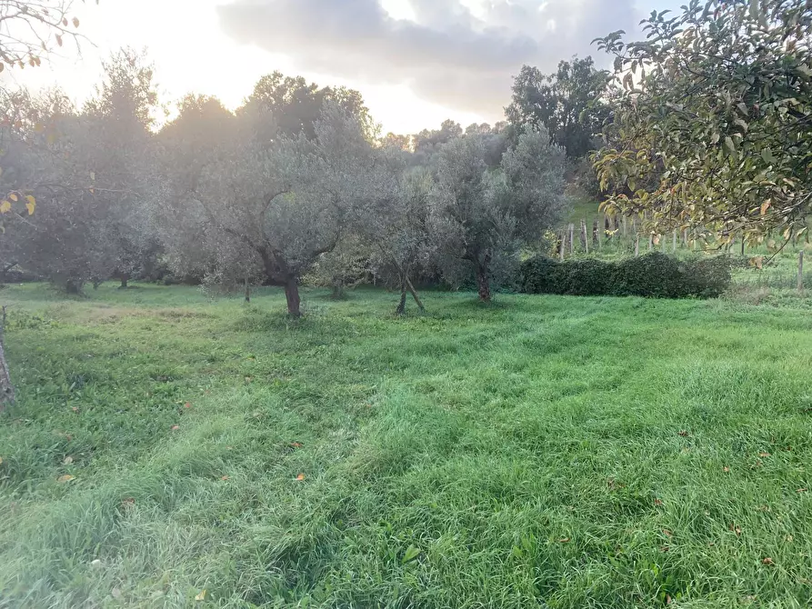 Immagine 13 di Terreno agricolo in vendita  in via della piscina a Guidonia Montecelio