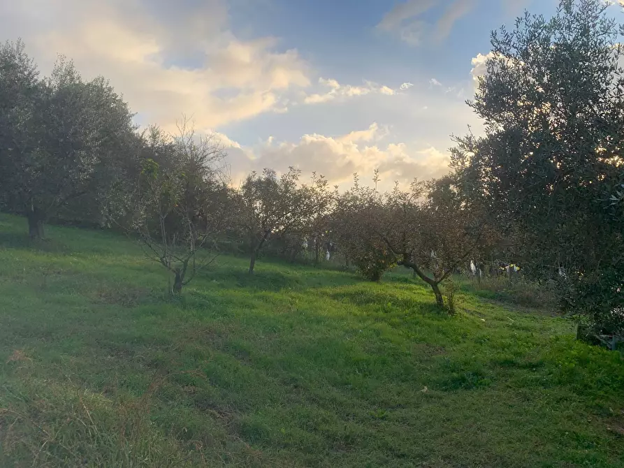 Immagine 14 di Terreno agricolo in vendita  in via della piscina a Guidonia Montecelio