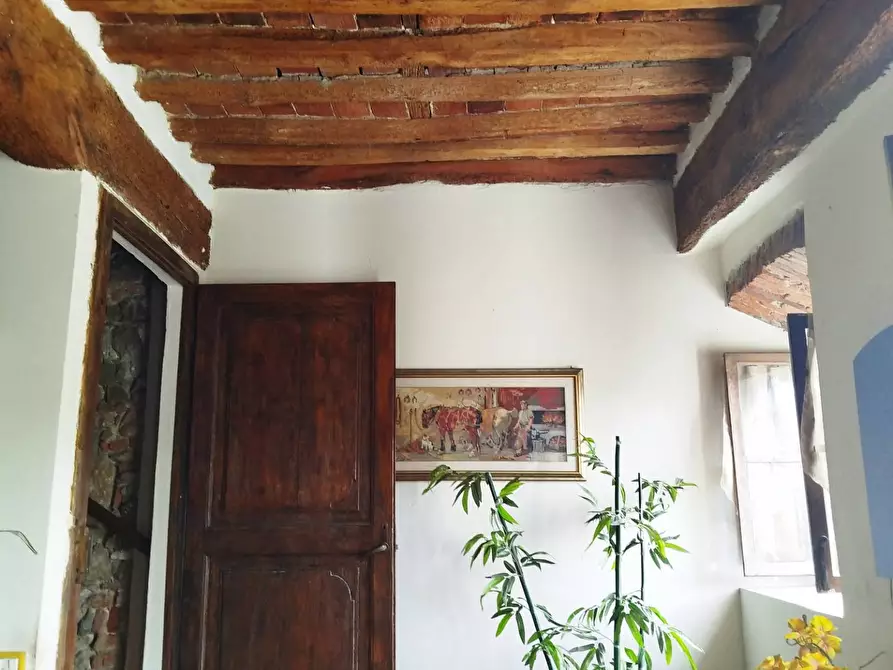 Immagine 12 di Casa indipendente in vendita  in VIA DELLE SERRE a Vecchiano