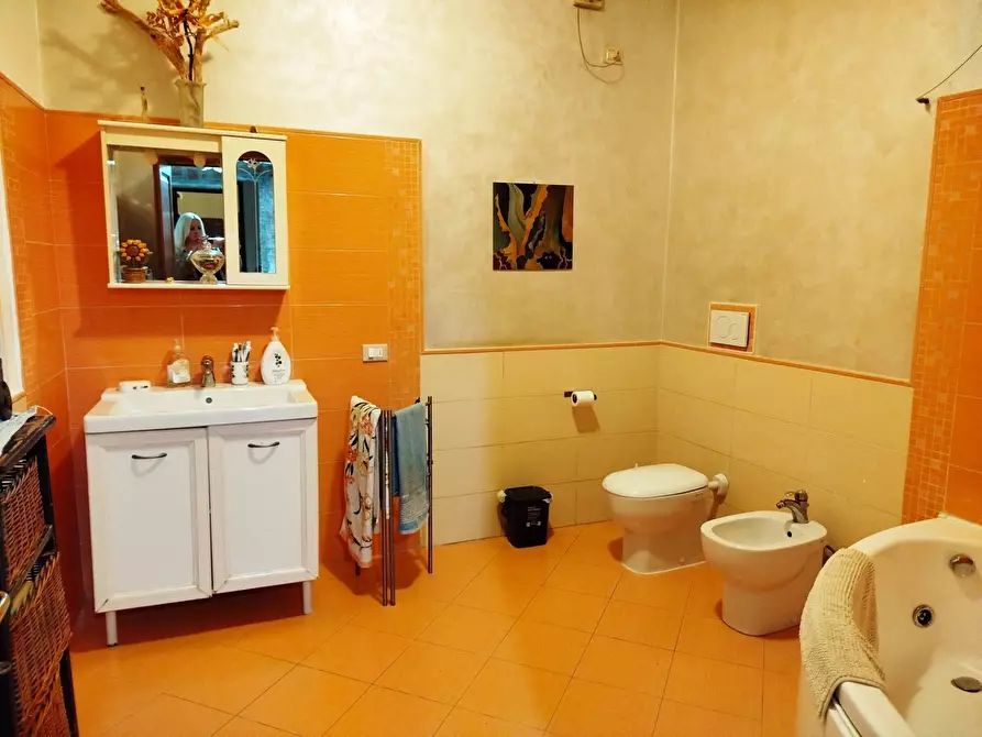 Immagine 21 di Casa indipendente in vendita  in VIA DELLE SERRE a Vecchiano