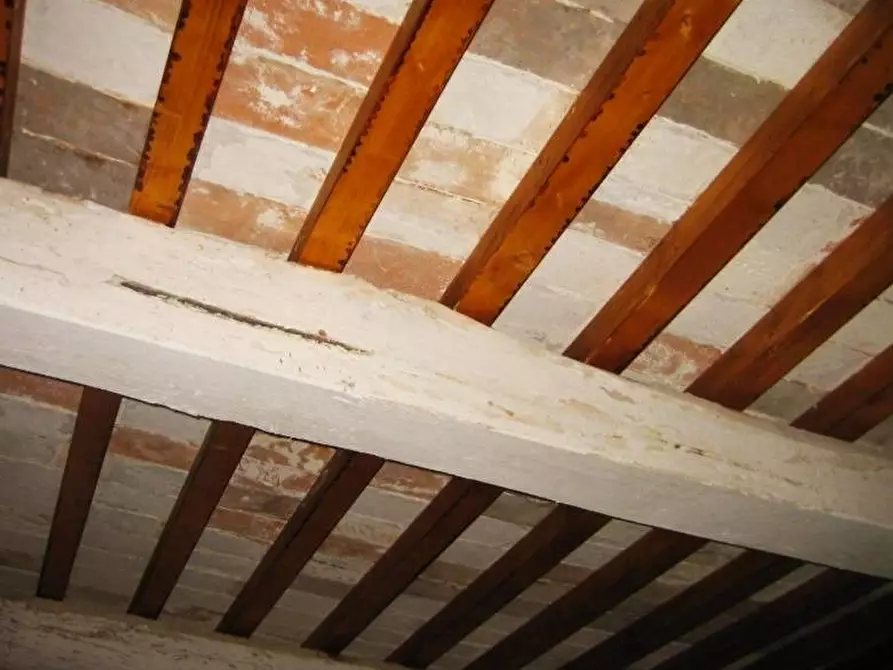 Immagine 14 di Casa indipendente in vendita  in pontegrande a Calci