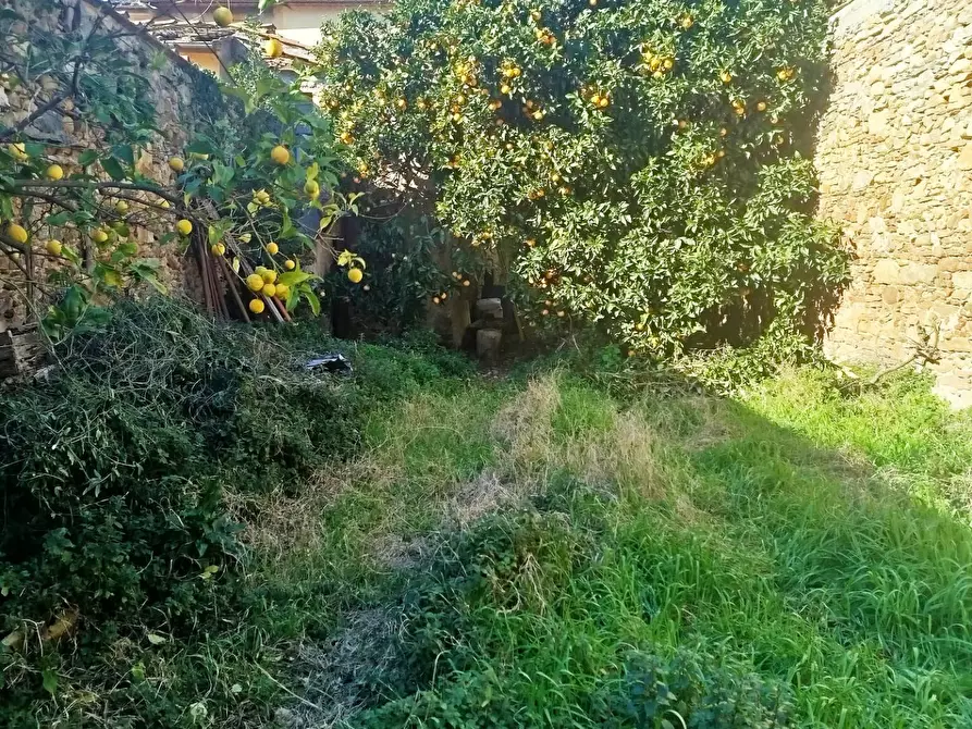 Immagine 1 di Casa indipendente in vendita  in pontegrande a Calci