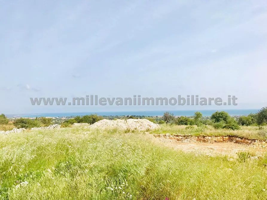 Immagine 4 di Terreno agricolo in vendita  in C.da Bellamagna a Modica