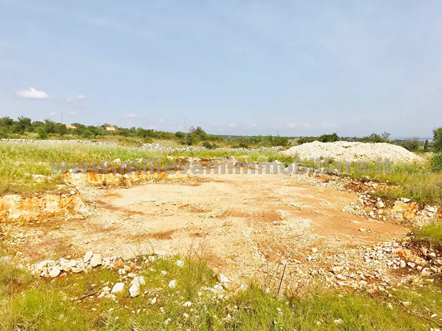 Immagine 7 di Terreno agricolo in vendita  in C.da Bellamagna a Modica