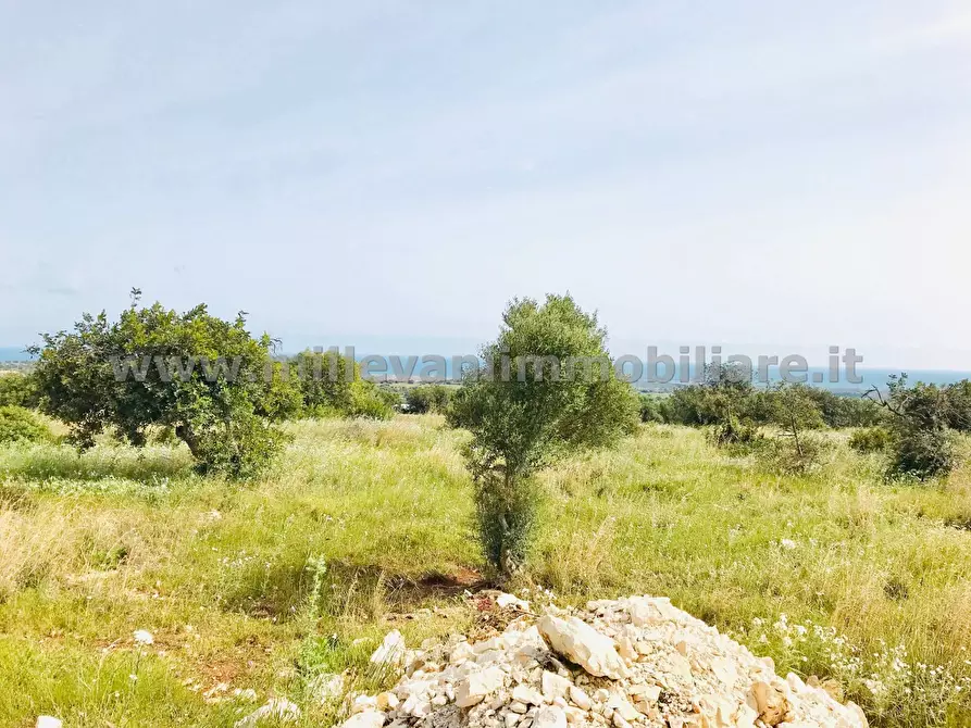 Immagine 10 di Terreno agricolo in vendita  in C.da Bellamagna a Modica