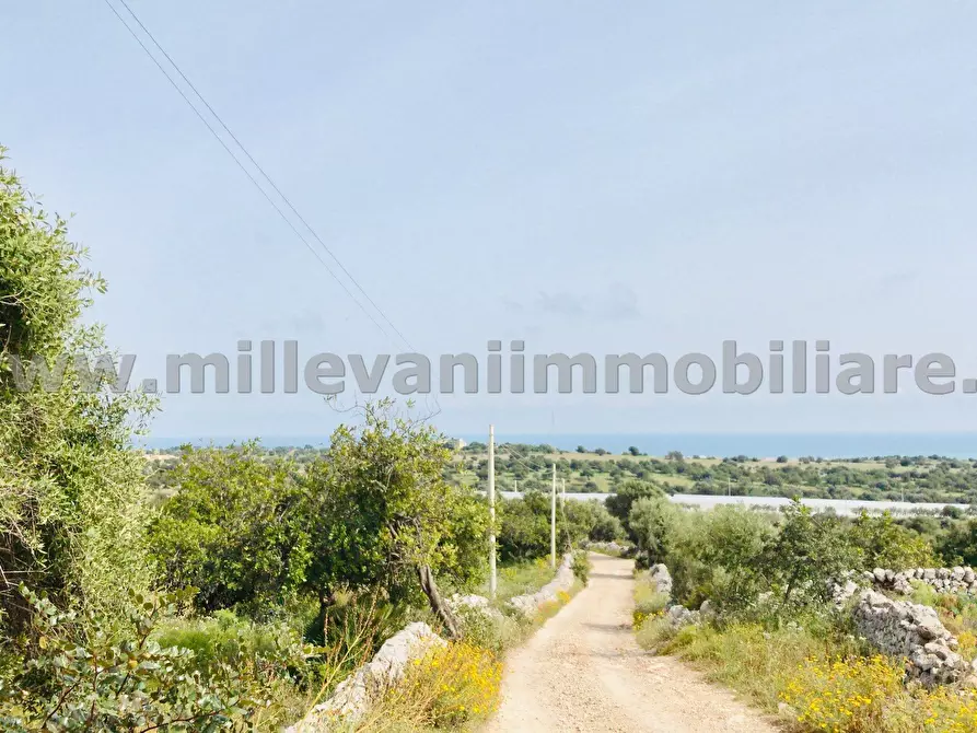 Immagine 11 di Terreno agricolo in vendita  in C.da Bellamagna a Modica
