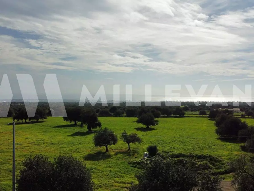 Immagine 18 di Rustico / casale in vendita  a Scicli