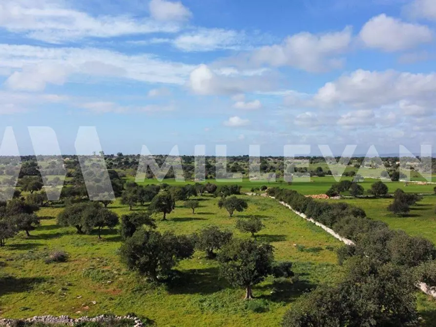 Immagine 19 di Rustico / casale in vendita  a Scicli