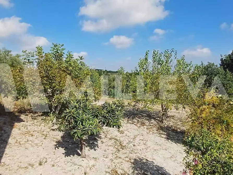 Immagine 27 di Villa in vendita  a Modica