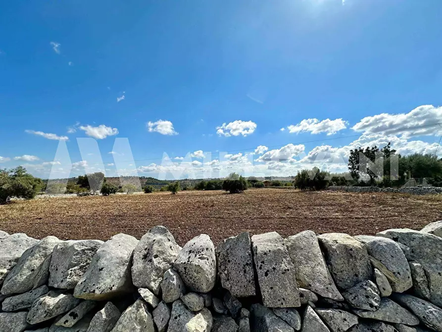 Immagine 6 di Terreno agricolo in vendita  in C.da Mauto a Modica
