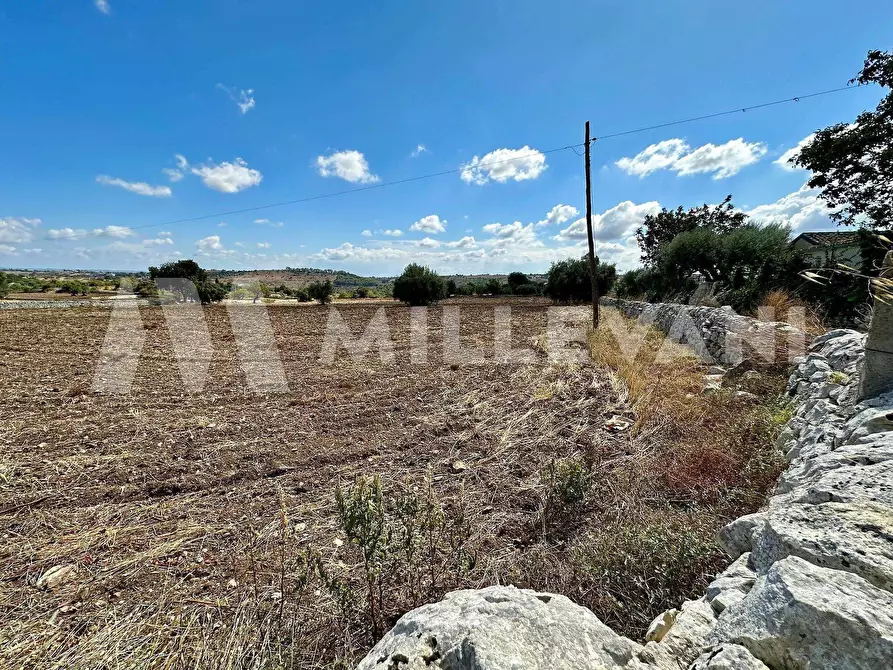 Immagine 7 di Terreno agricolo in vendita  in C.da Mauto a Modica