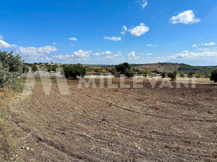 Immagine 8 di Terreno agricolo in vendita  in C.da Mauto a Modica