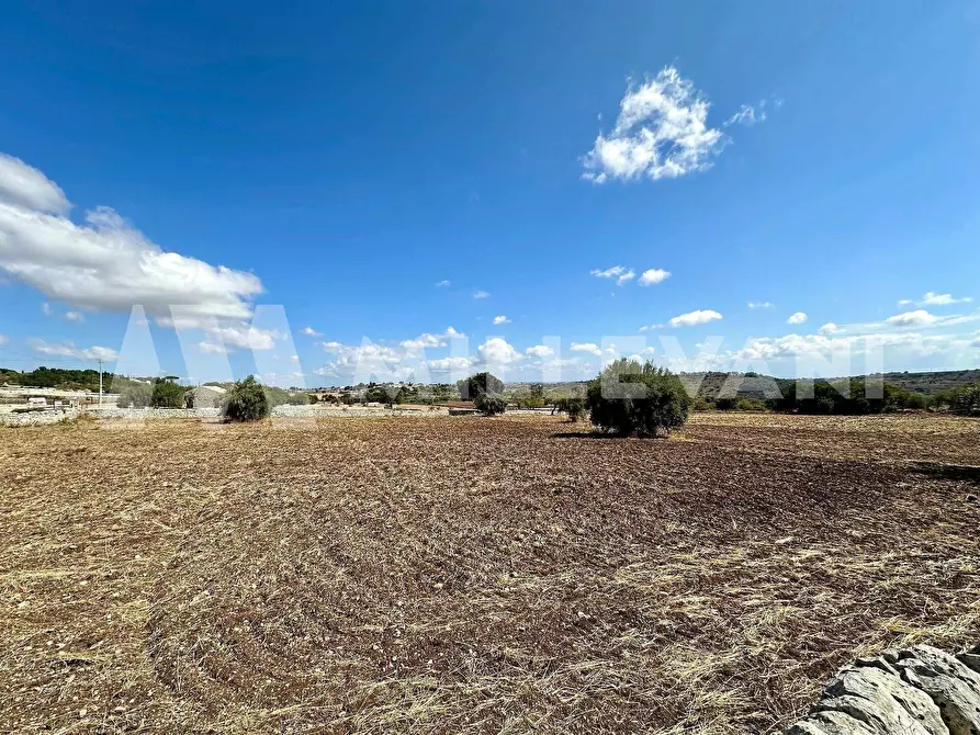 Immagine 9 di Terreno agricolo in vendita  in C.da Mauto a Modica