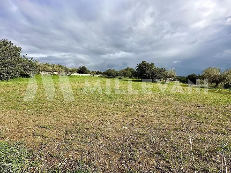 Immagine 4 di Villa in vendita  in c.da scorrione a Modica