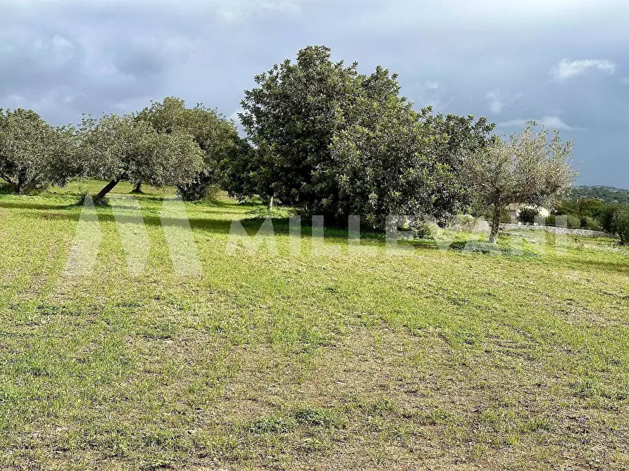 Immagine 11 di Villa in vendita  in c.da scorrione a Modica