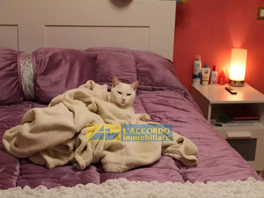 Immagine 25 di Casa semindipendente in vendita  in via colle dell'ara a Chieti