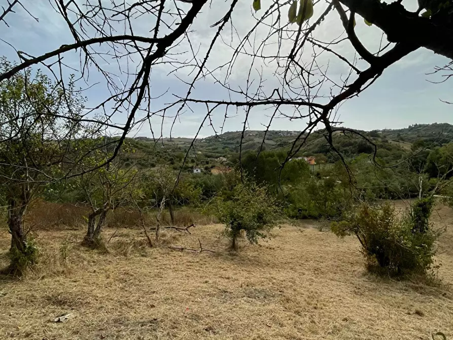 Immagine 29 di Casa indipendente in vendita  in c/da Cerreto a Ariano Irpino