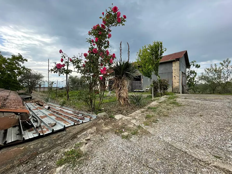 Immagine 13 di Casa indipendente in vendita  in c/da Viggiano 8 a Ariano Irpino