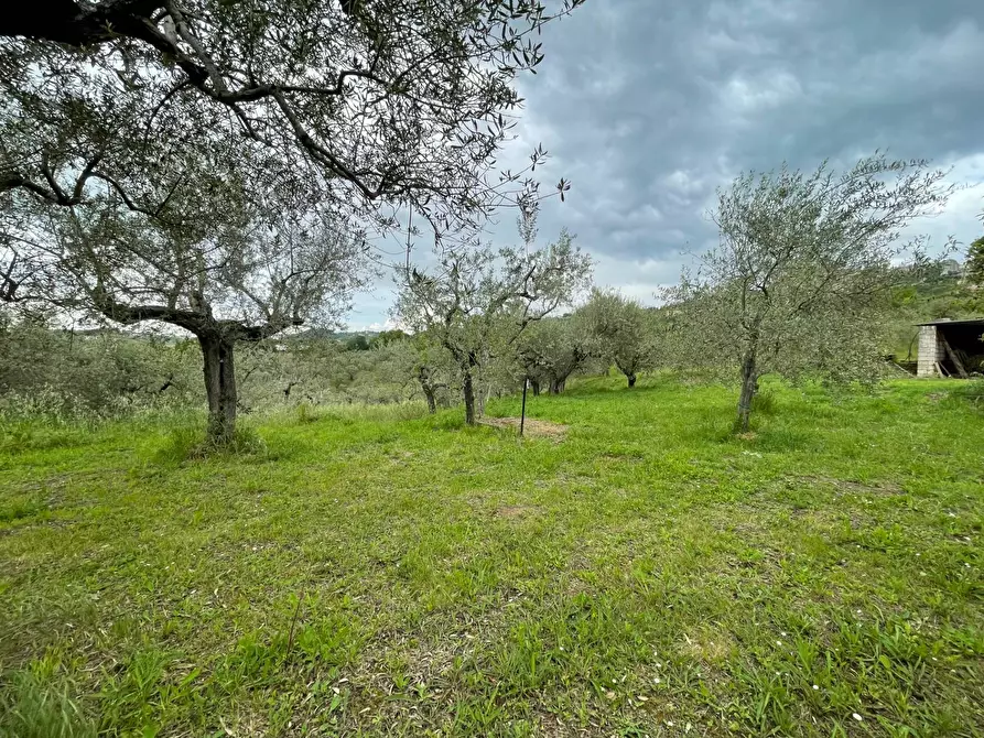 Immagine 17 di Casa indipendente in vendita  in c/da Viggiano 8 a Ariano Irpino