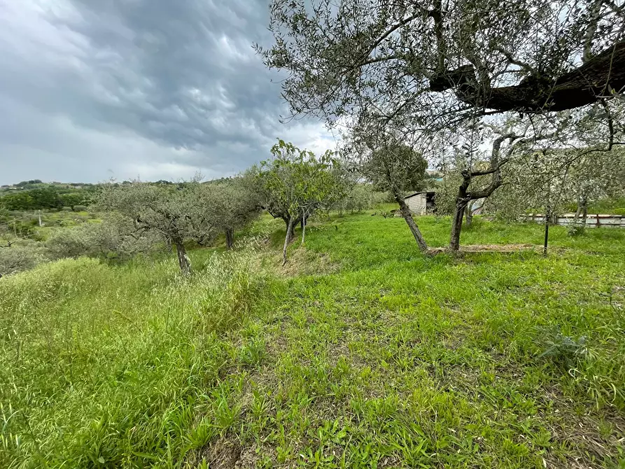 Immagine 18 di Casa indipendente in vendita  in c/da Viggiano 8 a Ariano Irpino