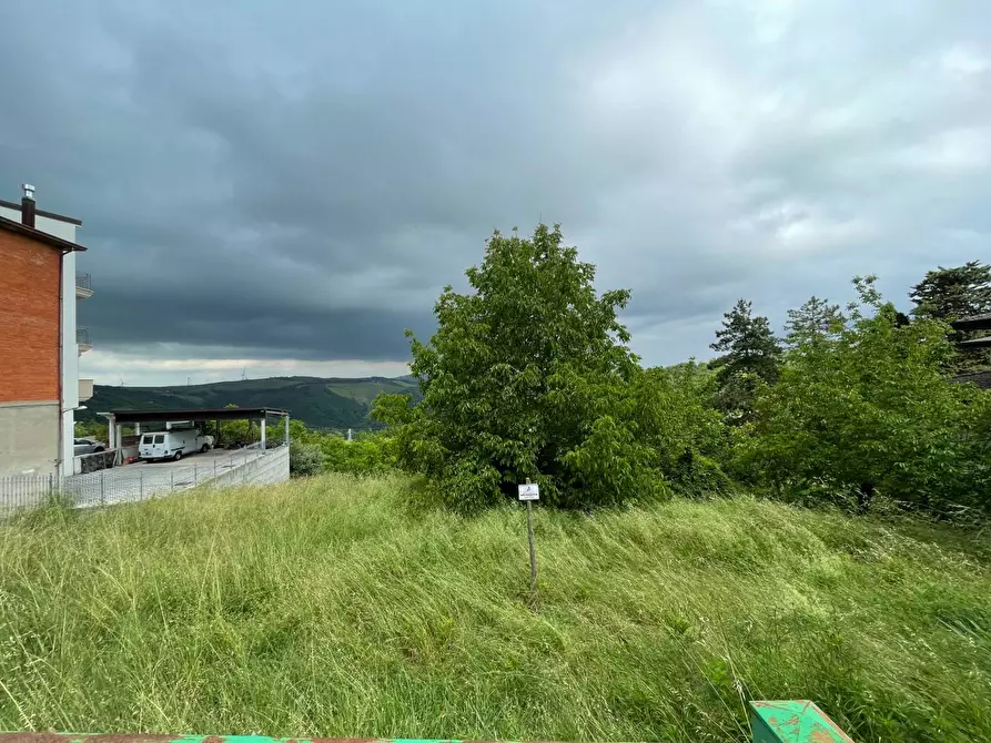 Immagine 5 di Terreno residenziale in vendita  in via Giovanni Conte a Greci