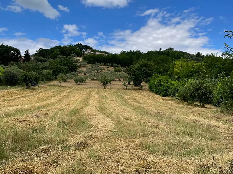 Immagine 5 di Terreno agricolo in vendita  in contrada san tommaso a Ariano Irpino