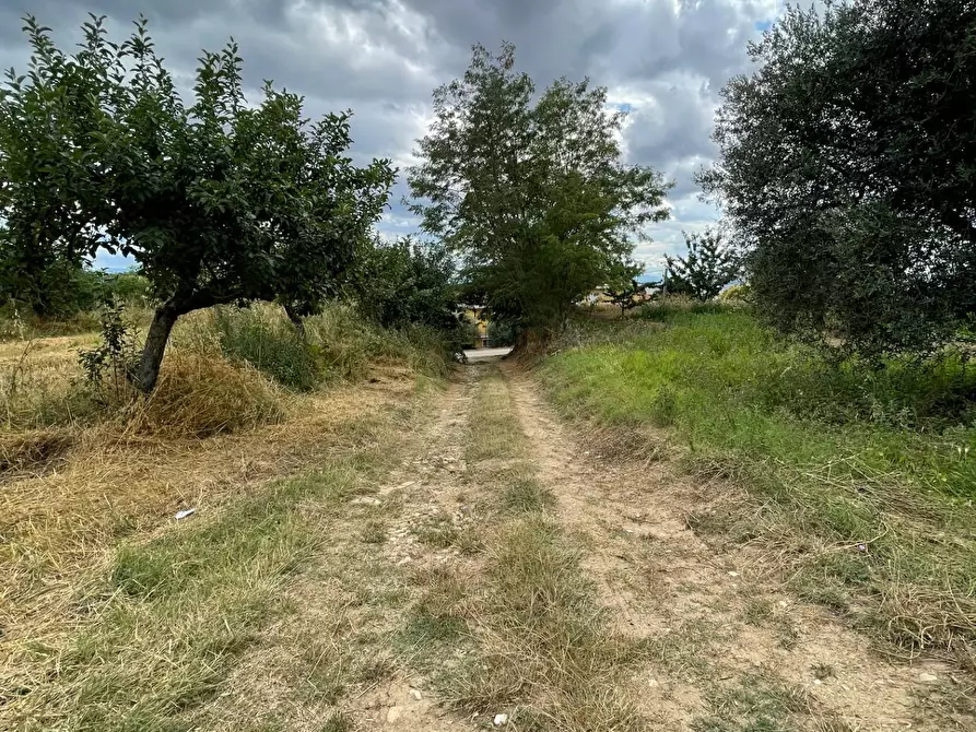 Immagine 10 di Terreno agricolo in vendita  in contrada san tommaso a Ariano Irpino