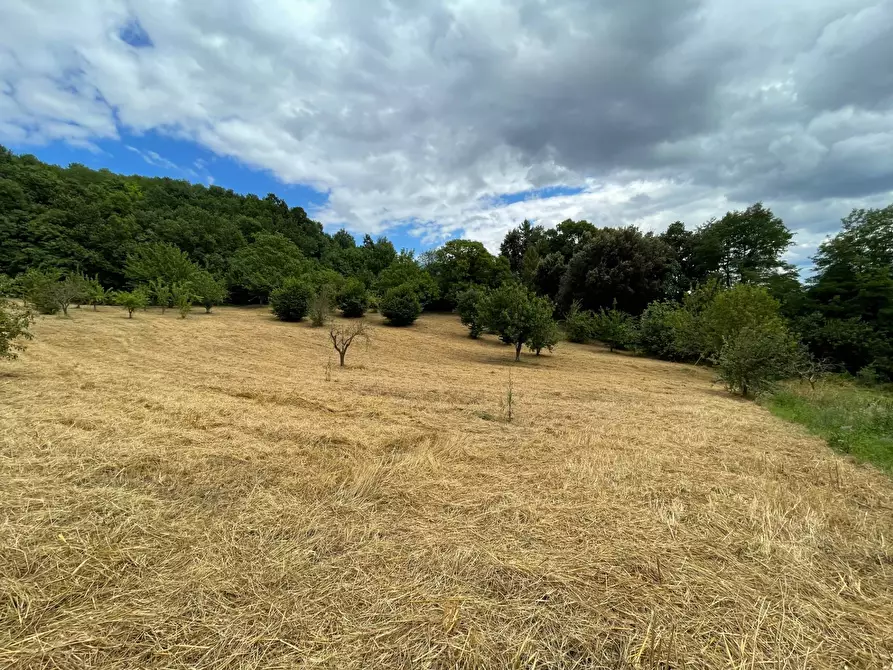 Immagine 11 di Terreno agricolo in vendita  in contrada san tommaso a Ariano Irpino