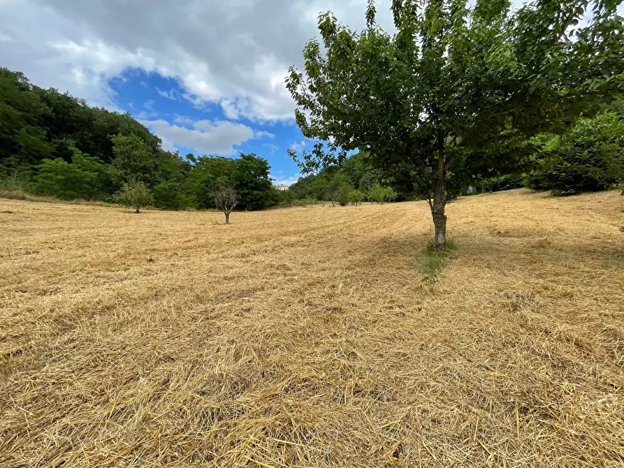 Immagine 15 di Terreno agricolo in vendita  in contrada san tommaso a Ariano Irpino