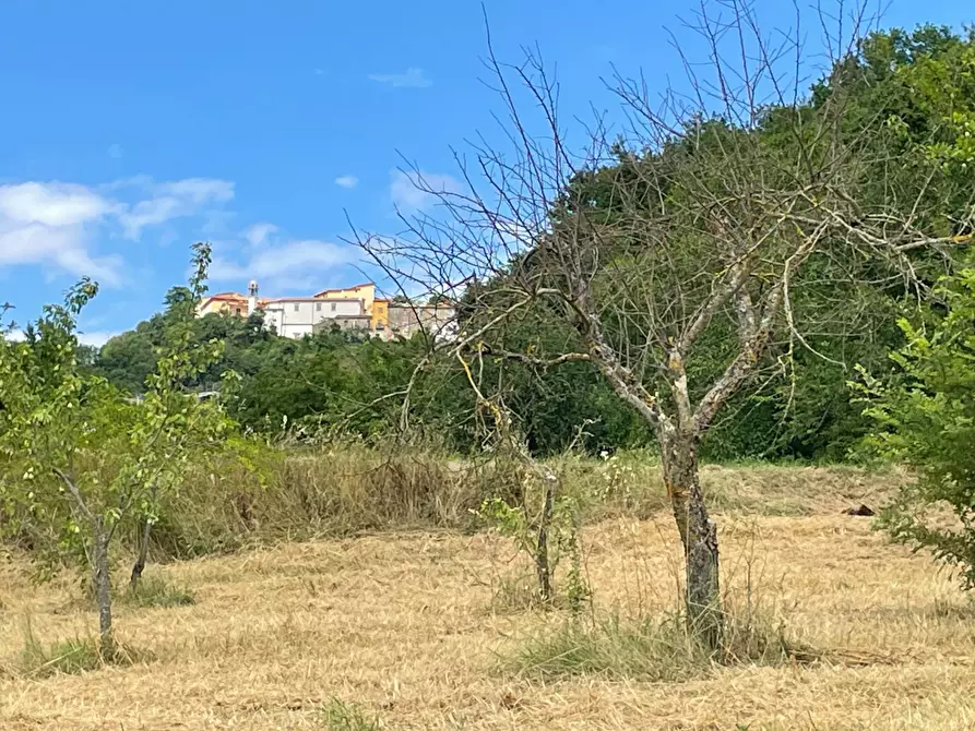 Immagine 16 di Terreno agricolo in vendita  in contrada san tommaso a Ariano Irpino