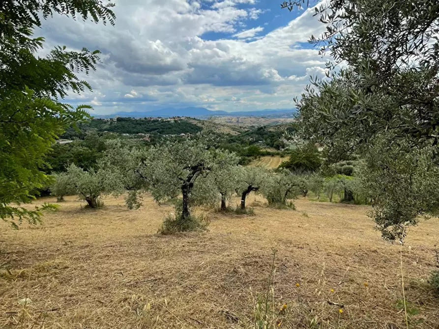 Immagine 17 di Terreno agricolo in vendita  in contrada san tommaso a Ariano Irpino