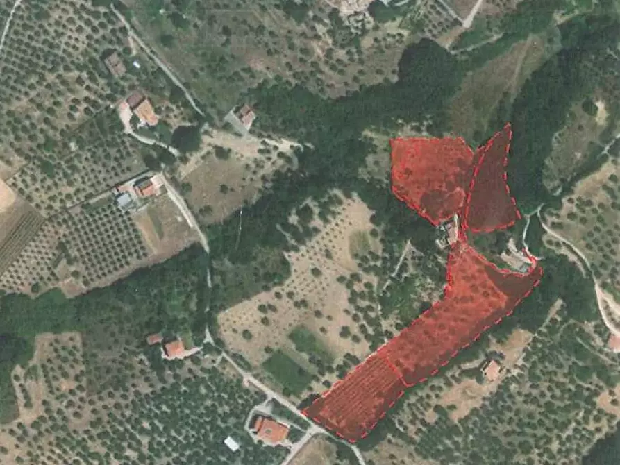 Immagine 2 di Terreno agricolo in vendita  in contrada san tommaso a Ariano Irpino