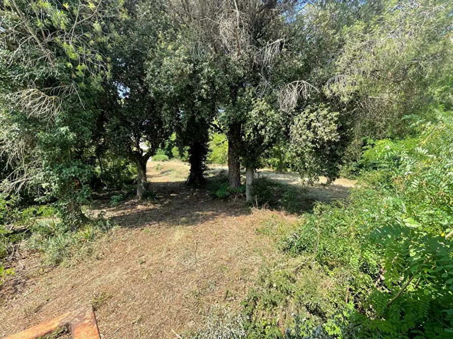 Immagine 12 di Casa indipendente in vendita  in contrada san tommaso a Ariano Irpino