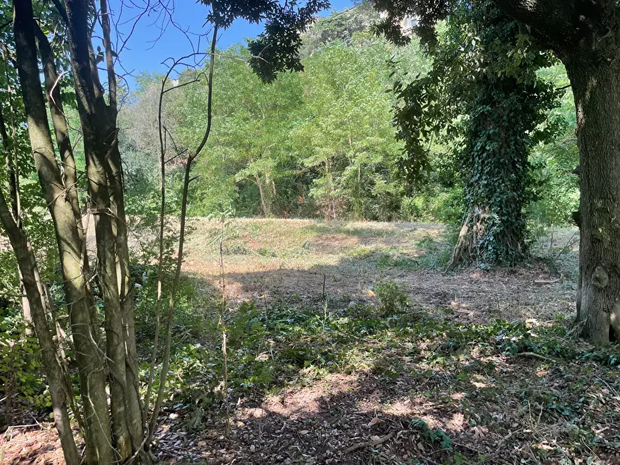 Immagine 29 di Casa indipendente in vendita  in contrada san tommaso a Ariano Irpino