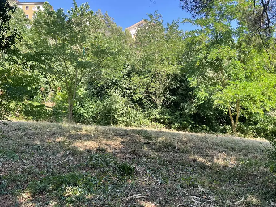 Immagine 31 di Casa indipendente in vendita  in contrada san tommaso a Ariano Irpino