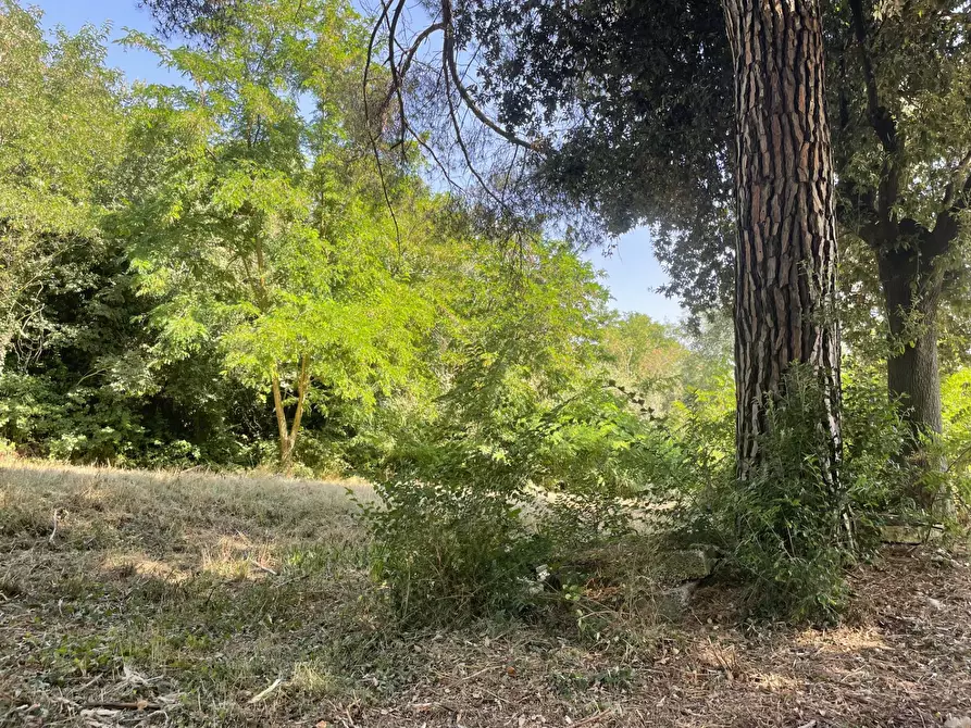 Immagine 32 di Casa indipendente in vendita  in contrada san tommaso a Ariano Irpino