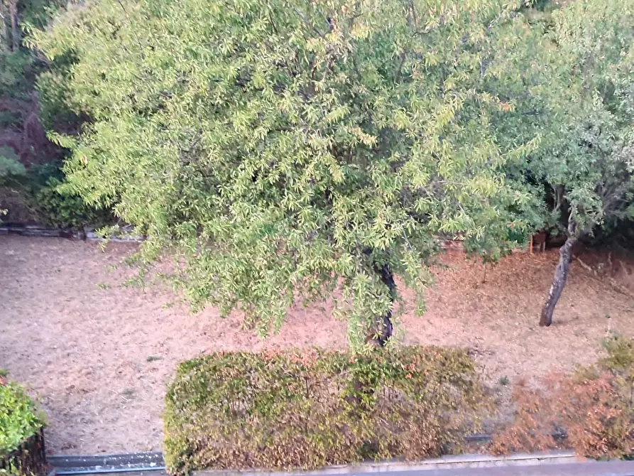 Immagine 24 di Appartamento in vendita  in corso vittorio emanuele a Ariano Irpino