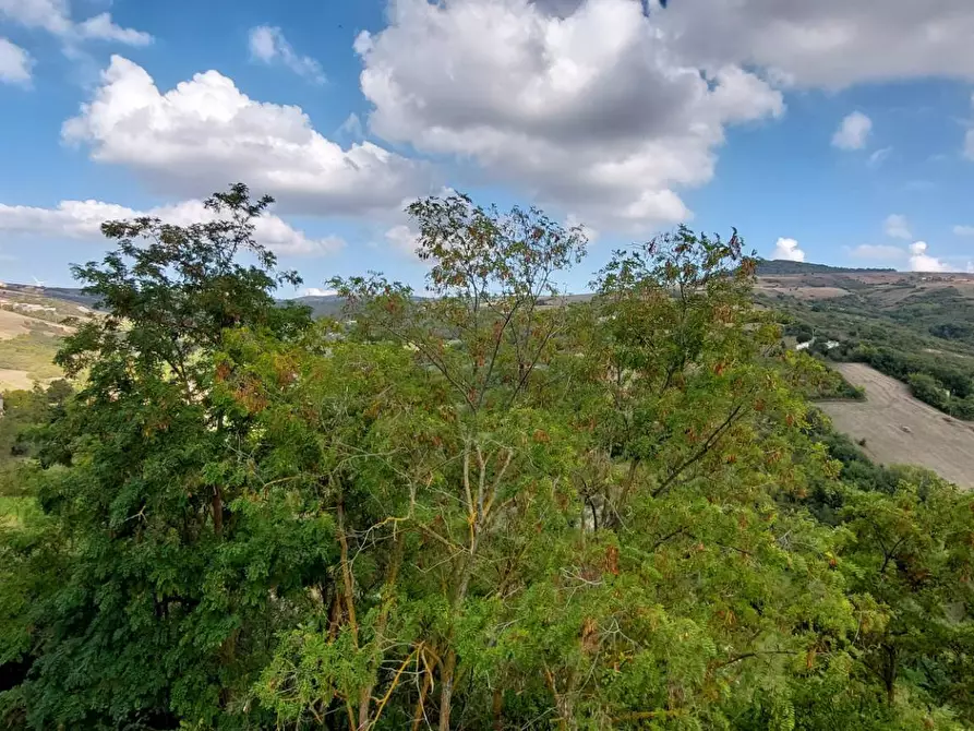 Immagine 21 di Casa semindipendente in vendita  in via orti a Greci