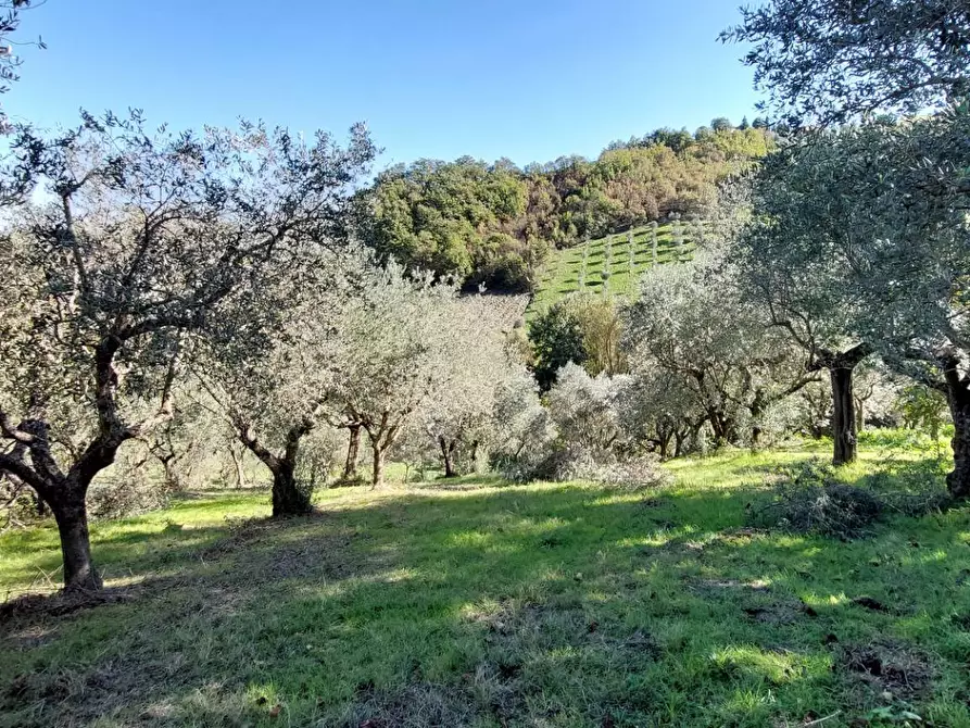 Immagine 31 di Casa indipendente in vendita  in contrada cardito a Ariano Irpino